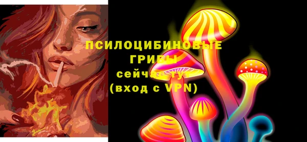 кокс Осташков
