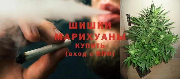 кокс Осташков