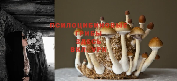 кокс Осташков