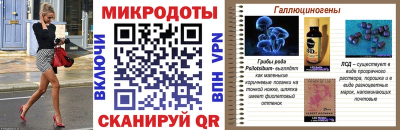 Псилоцибиновые грибы Magic Shrooms  хочу наркоту  hydra ССЫЛКА  Заволжье 