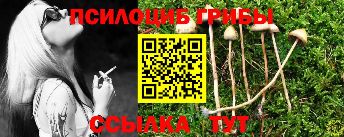 Галлюциногенные грибы MAGIC MUSHROOMS Заволжье