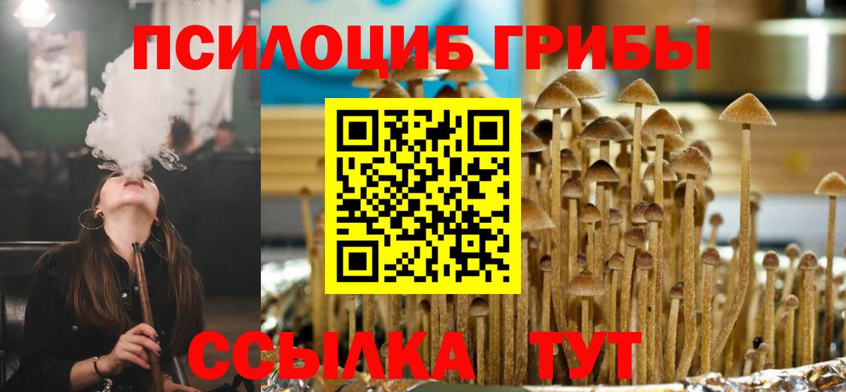 Галлюциногенные грибы Cubensis  Галлюциногенные грибы Cubensis  Вход с VPN  Заволжье 