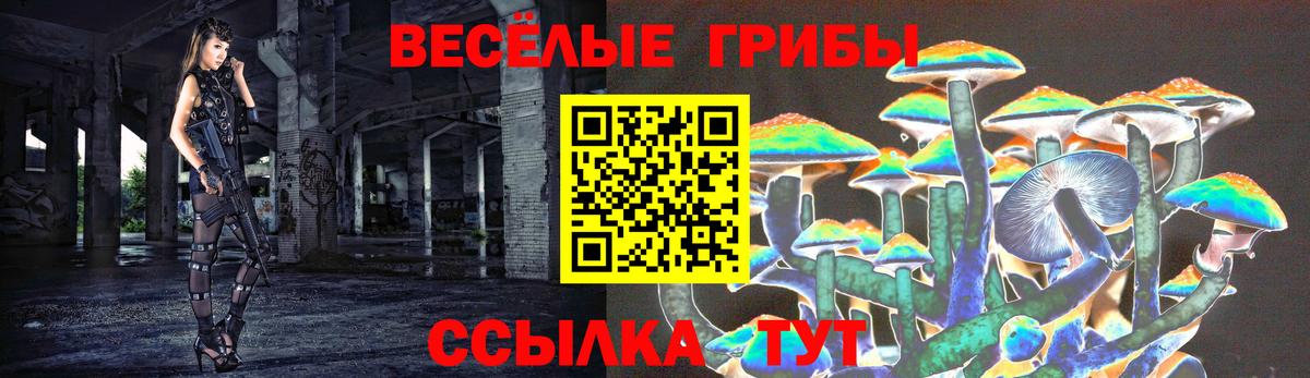 Галлюциногенные грибы ЛСД Заволжье