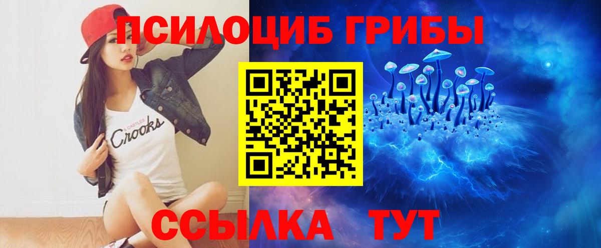 Псилоцибиновые грибы ЛСД  Галлюциногенные грибы MAGIC MUSHROOMS  где можно купить   Заволжье 